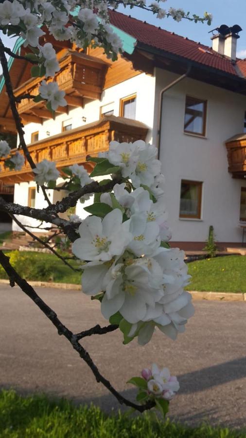 Lederhof Daire Abtenau Dış mekan fotoğraf
