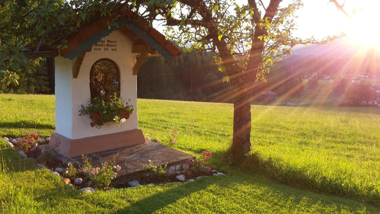 Lederhof Daire Abtenau Dış mekan fotoğraf